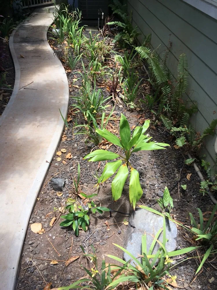 Affordable yard cleanup service for year-round maintenance across Makawao, HI - Top Rated Island Maintenance