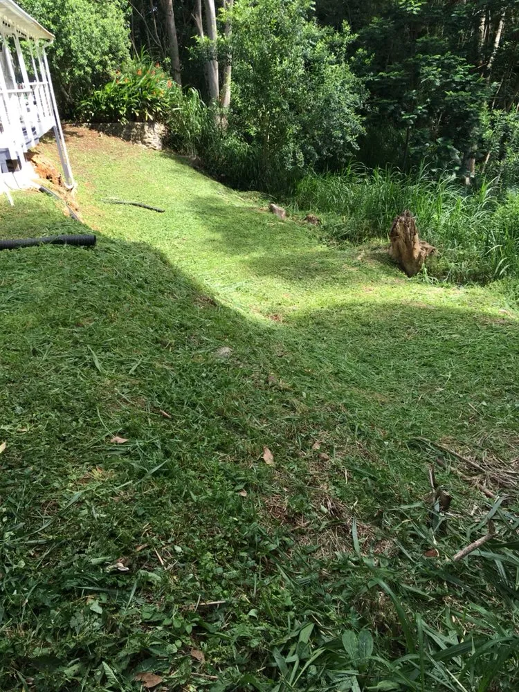 Affordable outdoor landscaping in Makawao, HI - Top Rated Island Maintenance