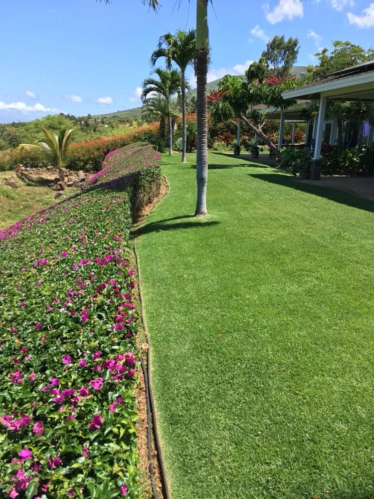 Affordable landscaping services for beautiful yards across Makawao, HI - Top Rated Island Maintenance
