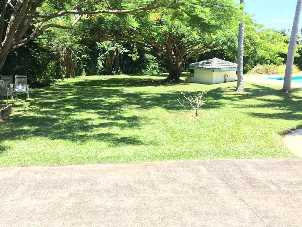 Professional lawn care service in Makawao, HI by Top Rated Island Maintenance