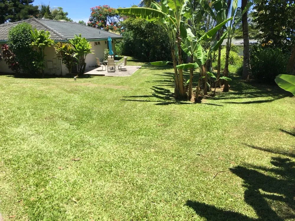 Professional landscape installation in Makawao, HI by Top Rated Island Maintenance