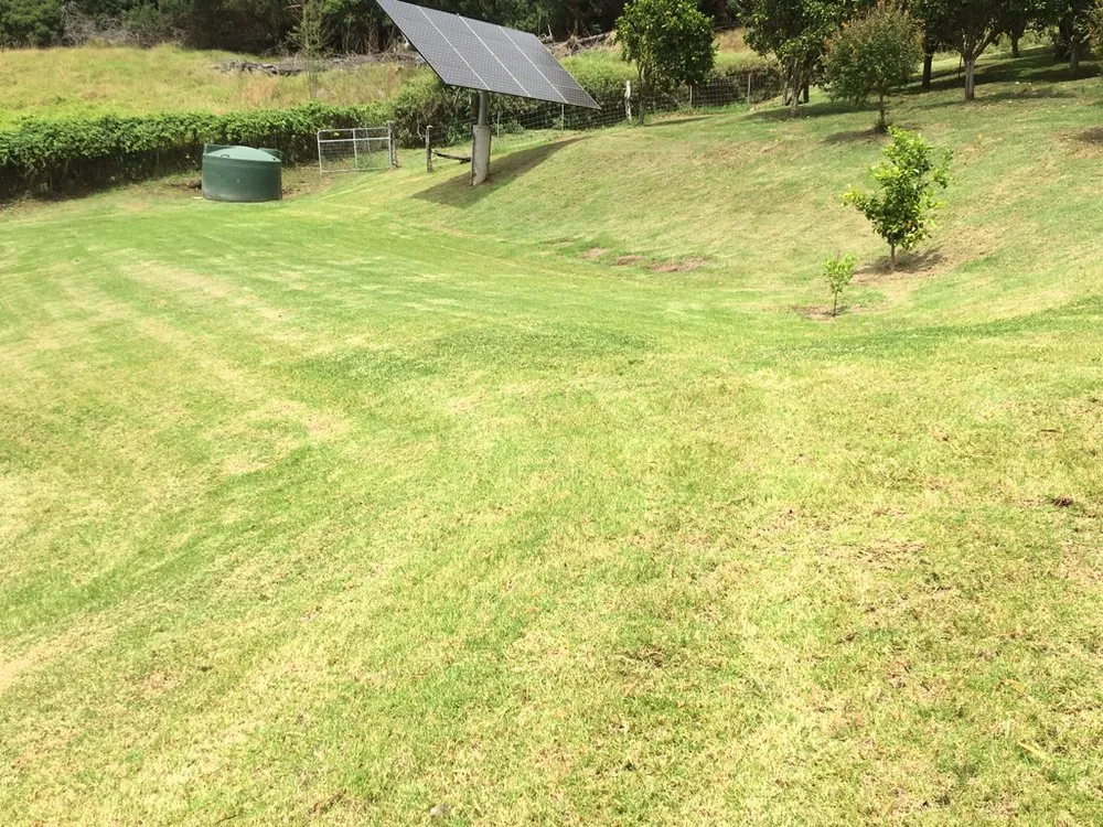 Local garden landscaping in Makawao, HI by Top Rated Island Maintenance