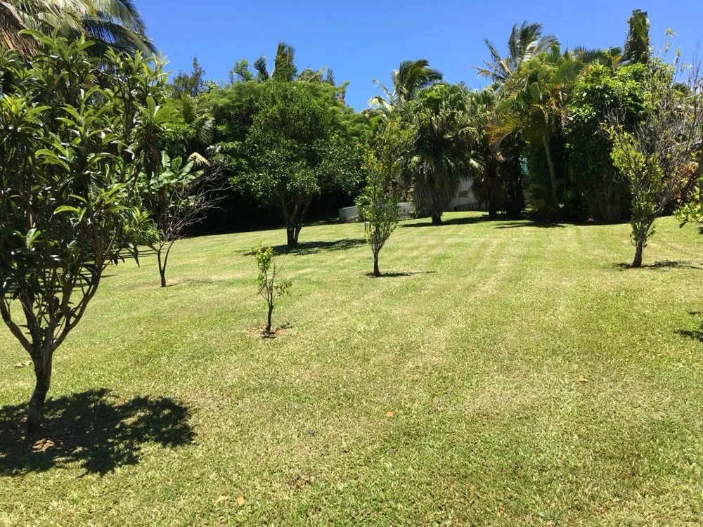 Top-rated yard maintenance for beautiful yards in Makawao, HI by Top Rated Island Maintenance