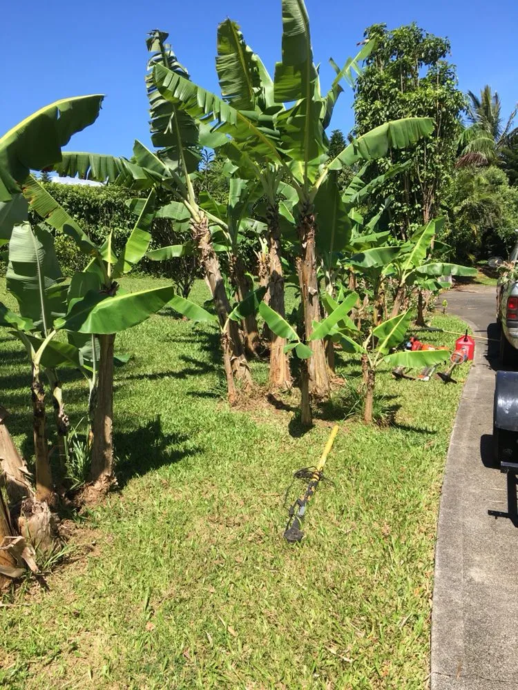 Trusted outdoor landscaping experts serving Makawao, HI - Top Rated Island Maintenance