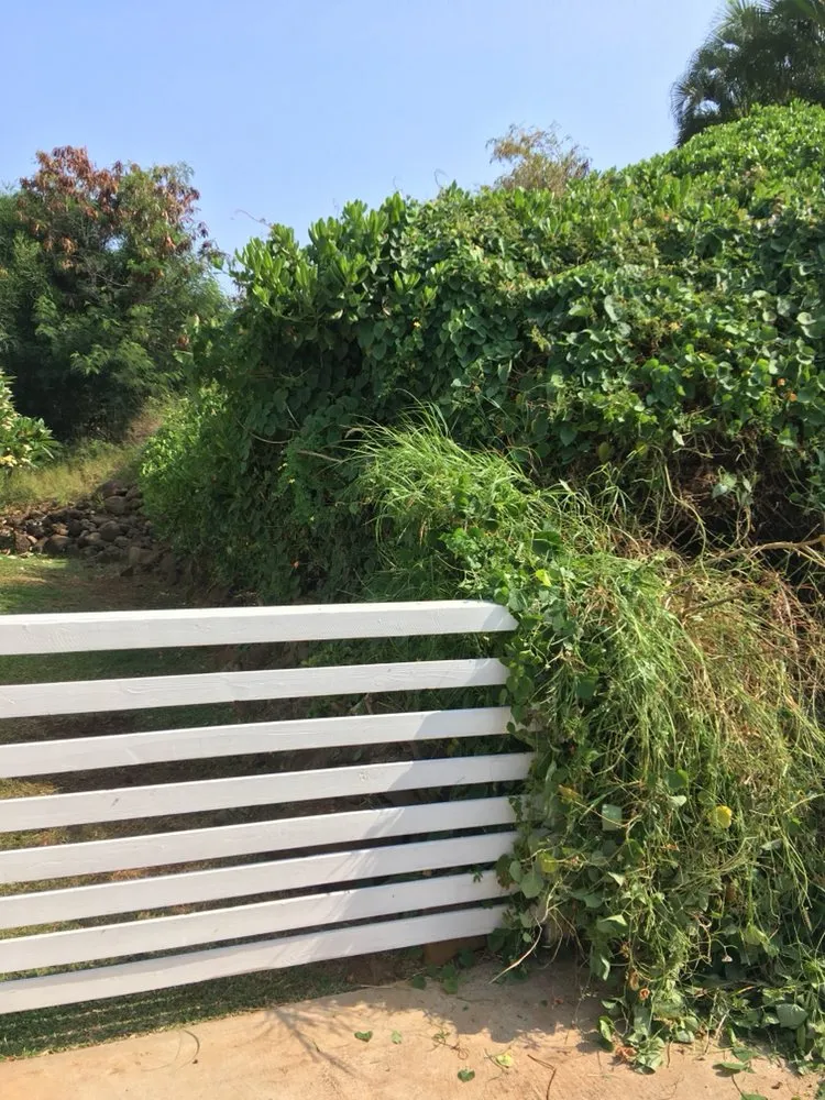 Local lawn mowing service experts serving Makawao, HI - Top Rated Island Maintenance