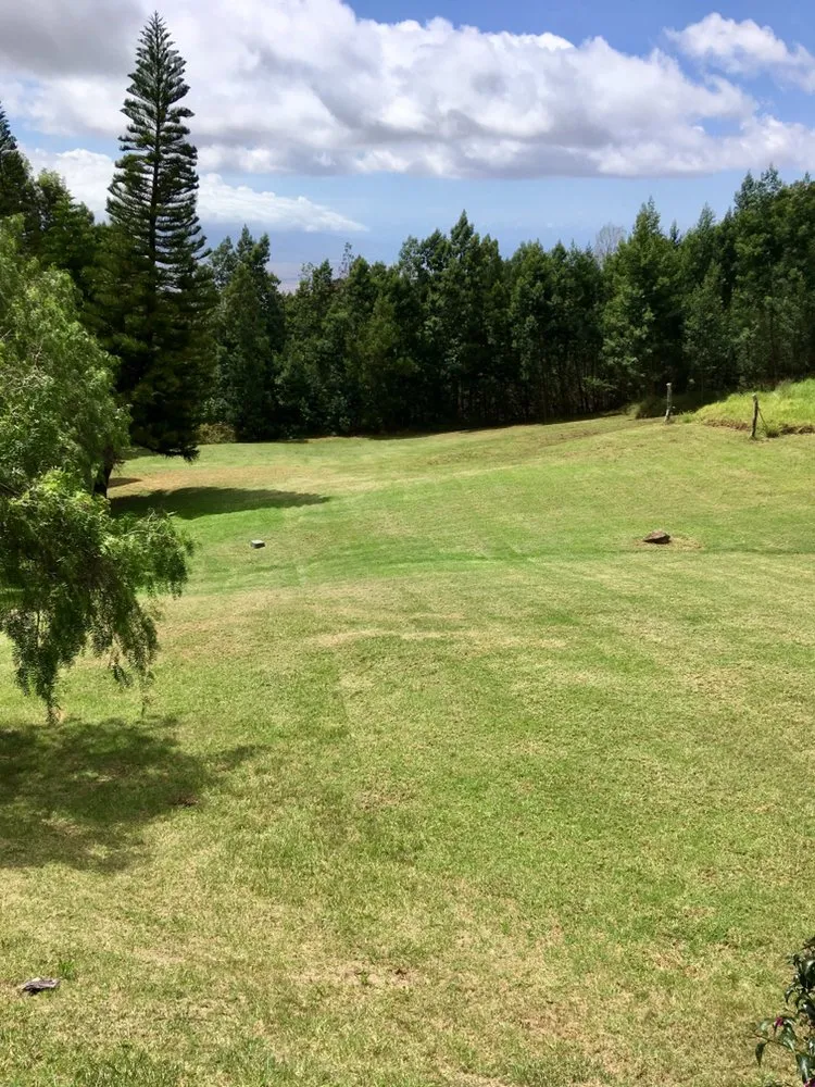 Custom yard cleanup service in Makawao, HI by Top Rated Island Maintenance