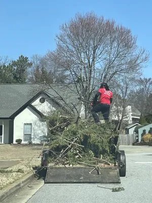 Top Rated Tree Specialist Logo