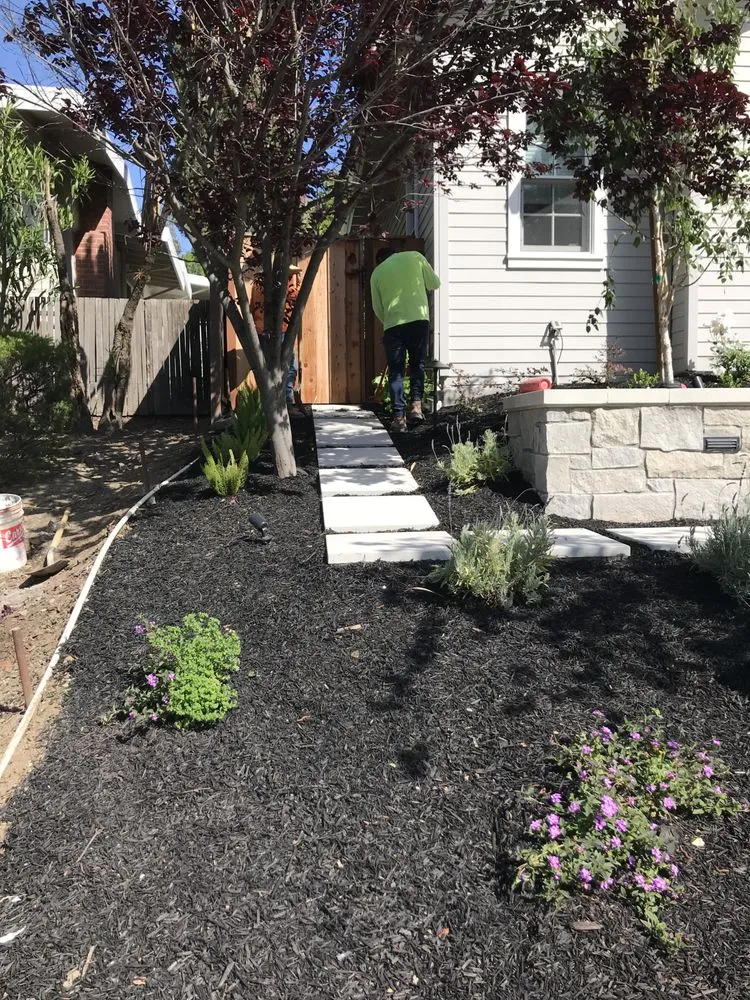 Professional lawn care service experts serving Hollister, CA - Top Rock Construction