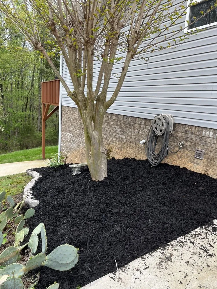 Trusted residential landscaping in Soddy-Daisy, TN by Top Secret Landscaping