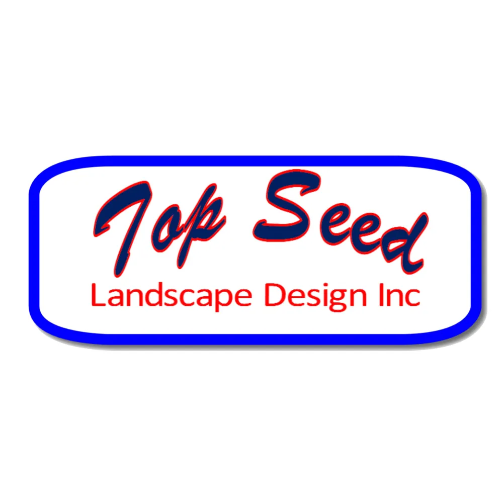 Local yard cleanup service experts serving Milton, NY - Top Seed Landscape Design