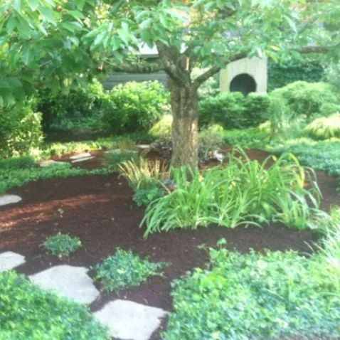 Affordable landscape design for year-round maintenance across Milford, CT - Top Seed Landscaping