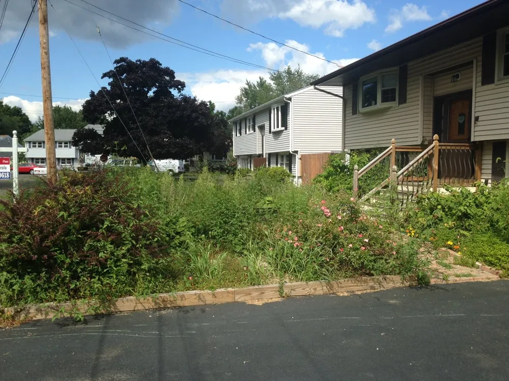 Trusted lawn care service experts serving Milford, CT - Top Seed Landscaping