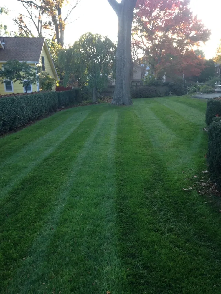 Top-rated landscape installation for year-round maintenance across Milford, CT - Top Seed Landscaping