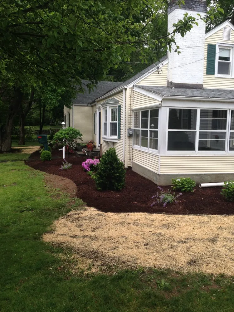 Affordable yard cleanup service in Milford, CT by Top Seed Landscaping