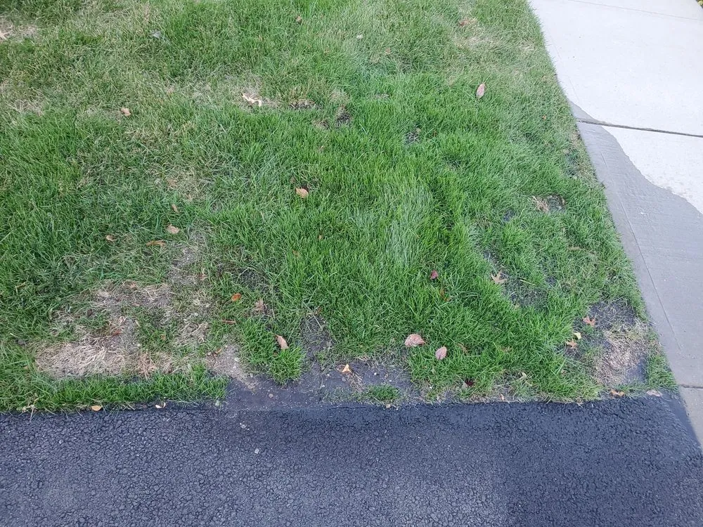 Local yard maintenance in Wood-Ridge, NJ by Top Seed Lawn Care