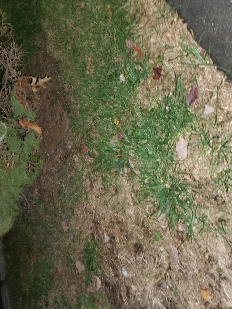 Local yard maintenance with custom design in Wood-Ridge, NJ by Top Seed Lawn Care