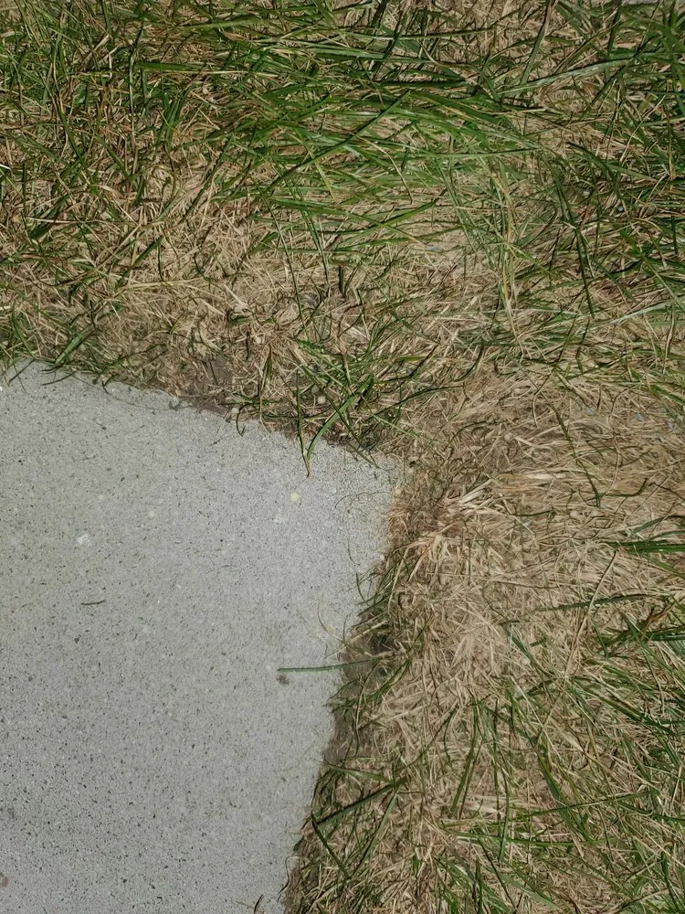 Expert landscape design experts serving Wood-Ridge, NJ - Top Seed Lawn Care