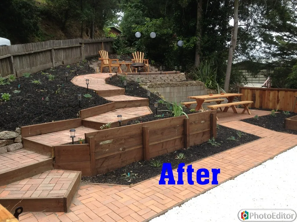 Trusted yard cleanup service for year-round maintenance in Oakland, CA by Top Service Landscaping