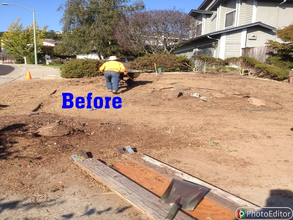 Affordable landscape installation in Oakland, CA by Top Service Landscaping