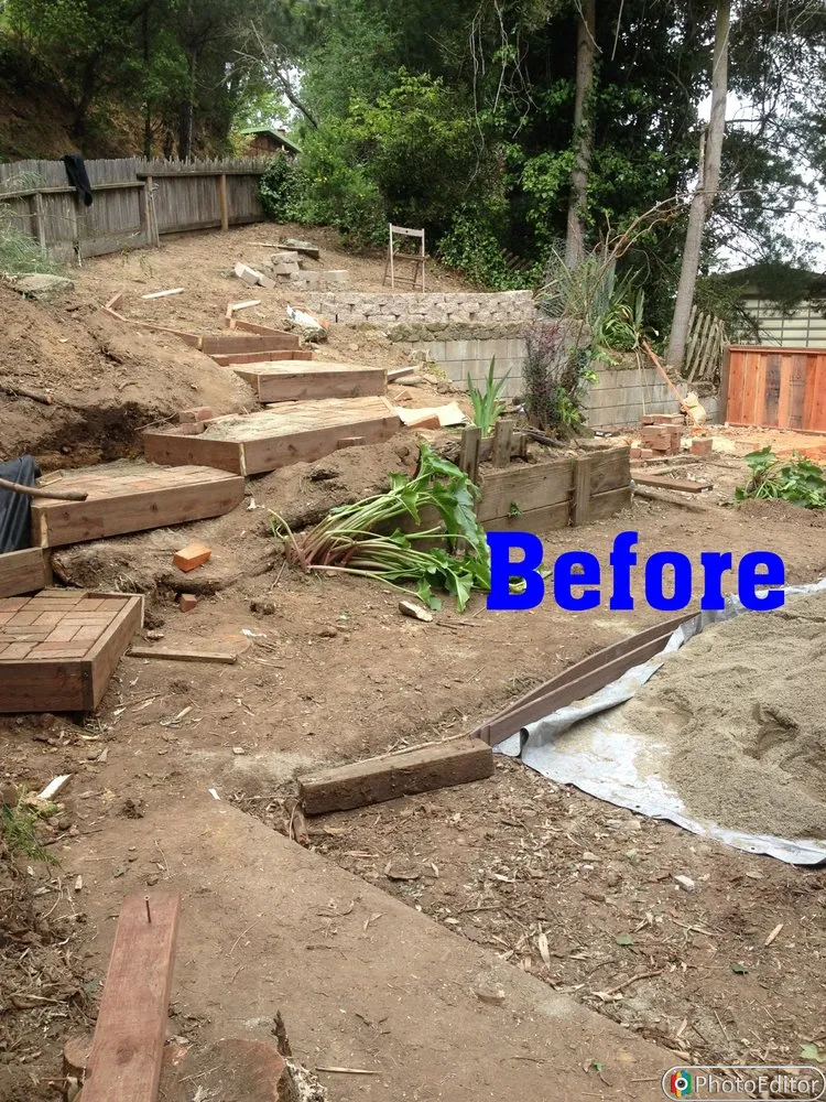 Reliable yard maintenance in Oakland, CA - Top Service Landscaping