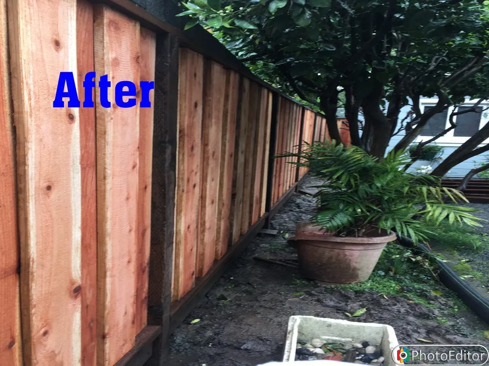 Reliable yard maintenance in Oakland, CA - Top Service Landscaping