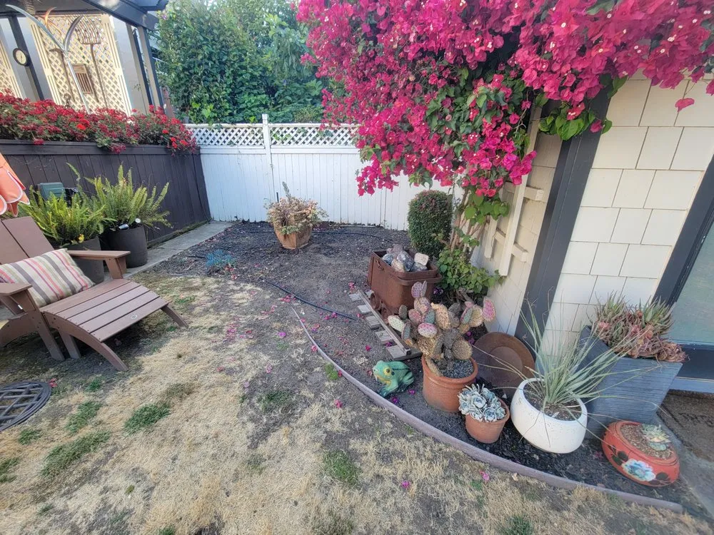 Top-rated landscape design for residential properties across Oakland, CA - Top Service Landscaping