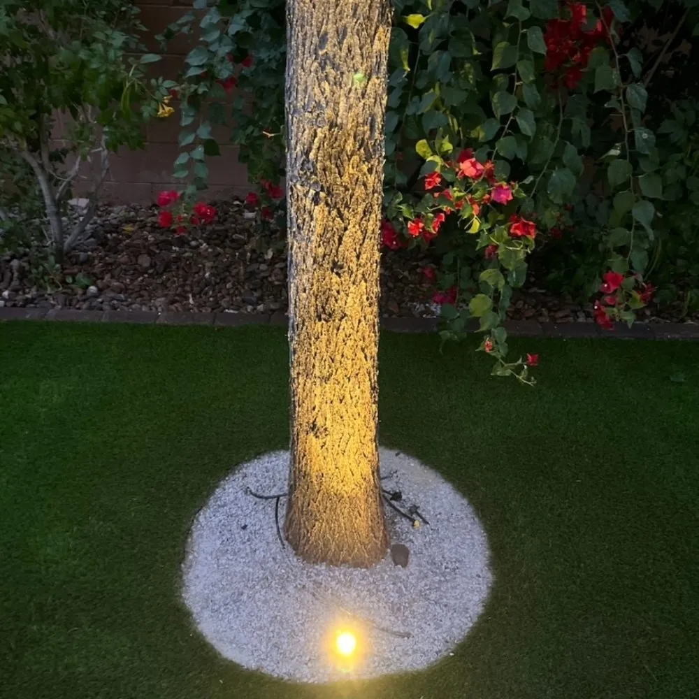 Local outdoor landscaping in Las Vegas, NV by Top Set Turf