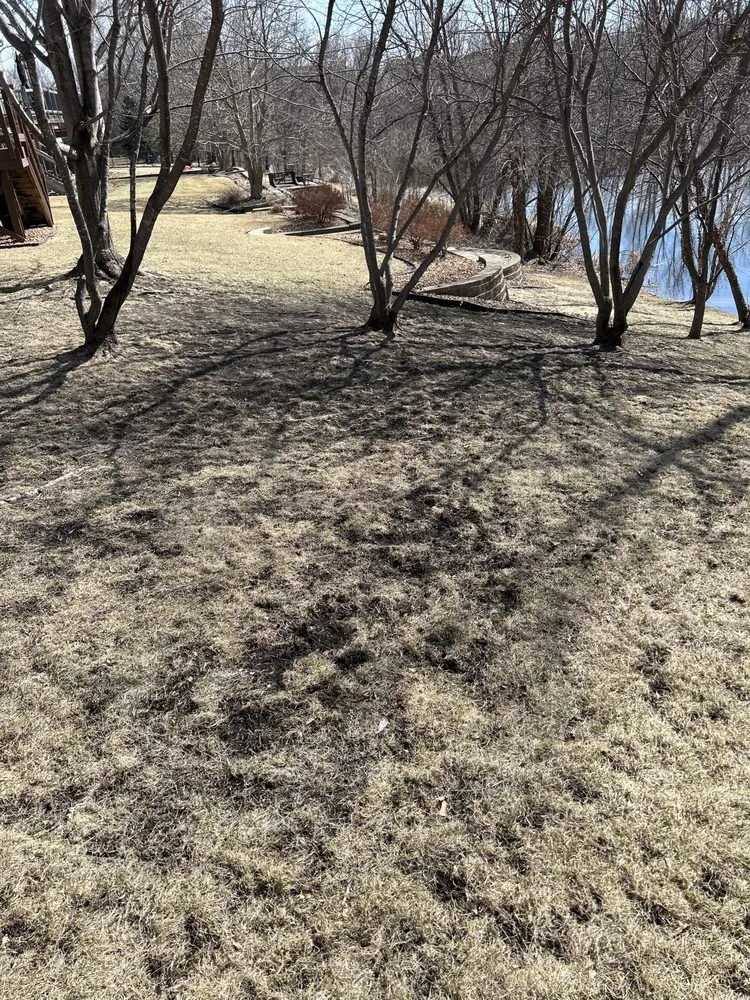 Professional yard cleanup service experts serving Maple Grove, MN - Top Shelf Contracting