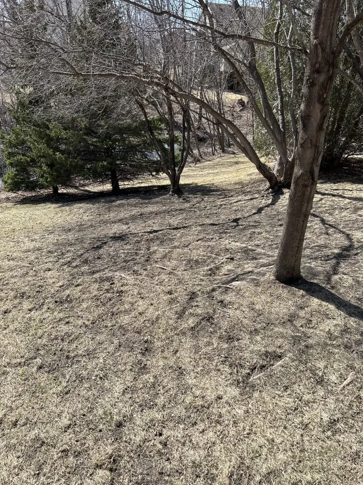 Trusted garden landscaping near you across Maple Grove, MN - Top Shelf Contracting