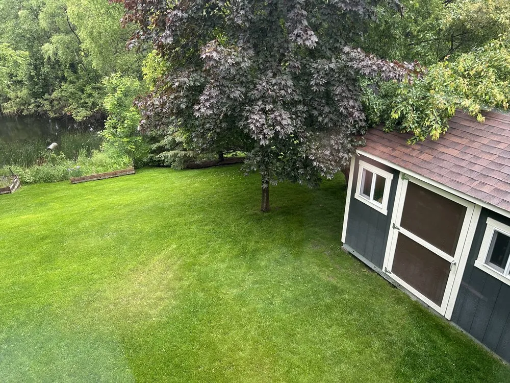 Affordable yard maintenance for residential properties across Maple Grove, MN - Top Shelf Contracting