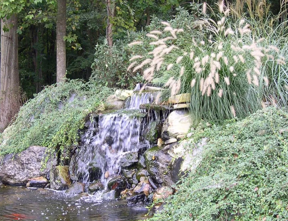 Expert landscaping services for outdoor upgrades across Perrineville, NJ - Top Shelf Landscaping