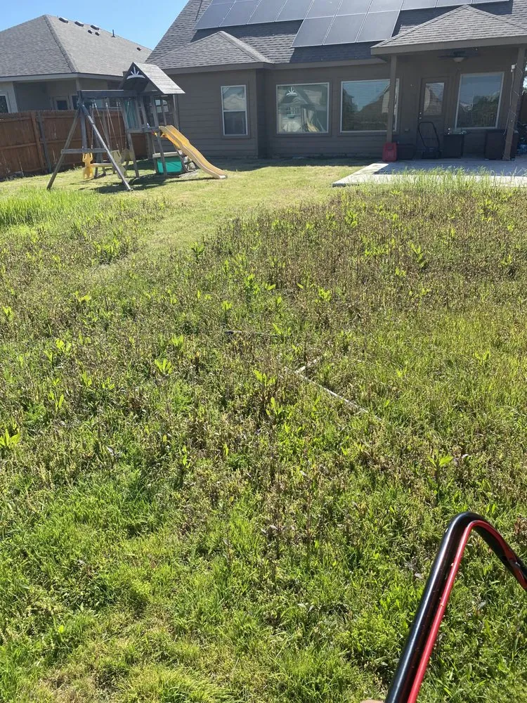 Custom garden landscaping experts serving Saginaw, TX - Top Shelf Lawns