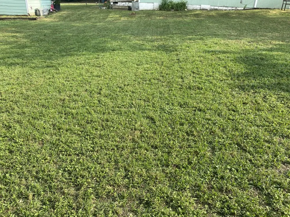 Affordable lawn mowing service with custom design in Saginaw, TX by Top Shelf Lawns