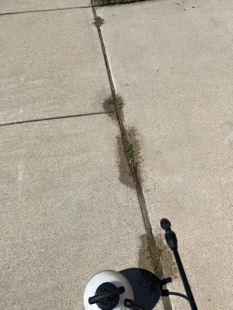 Professional garden landscaping in Saginaw, TX by Top Shelf Lawns