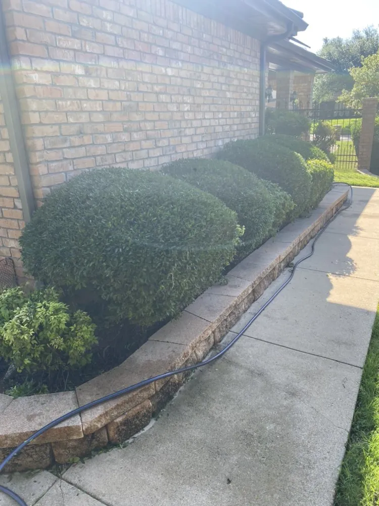 Expert outdoor landscaping in Saginaw, TX - Top Shelf Lawns