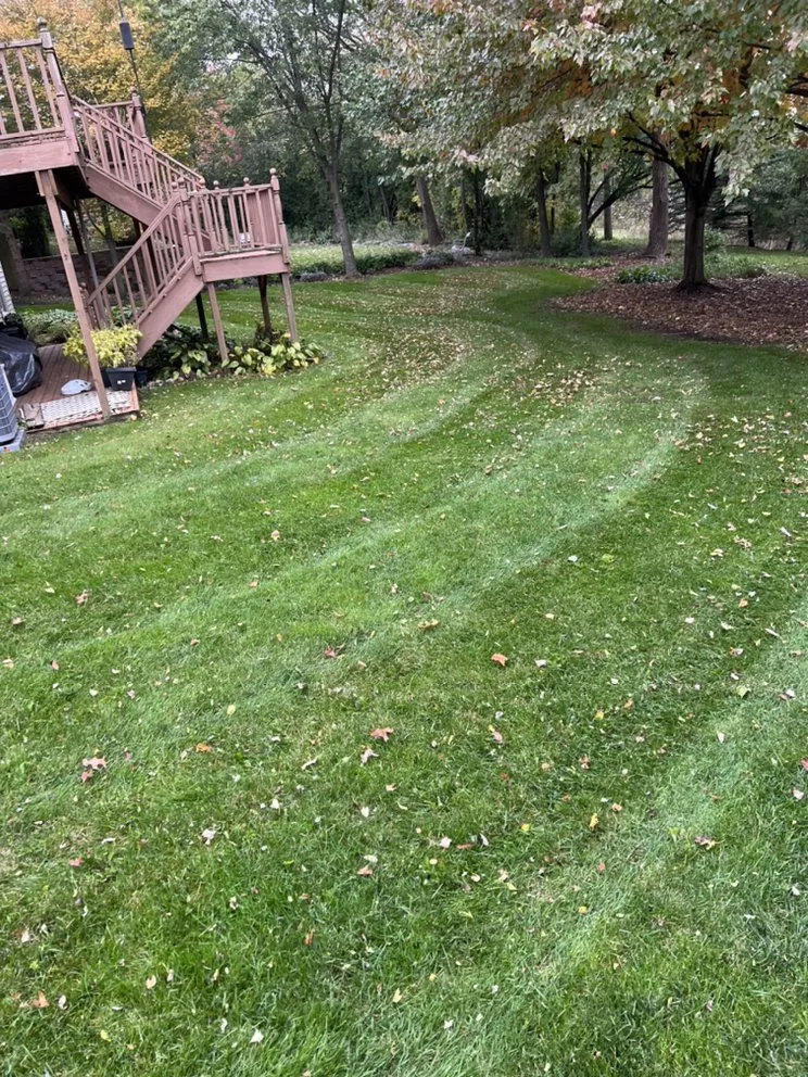 Expert landscape design for beautiful yards in Ypsilanti, MI by Top Shelf