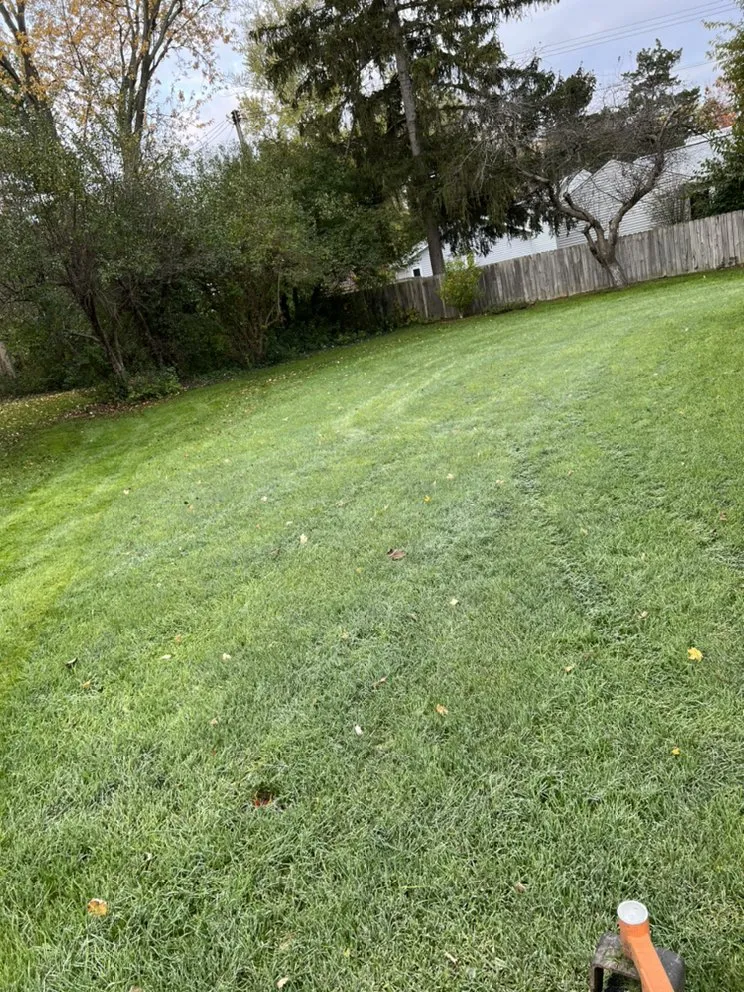 Reliable residential landscaping in Ypsilanti, MI - Top Shelf