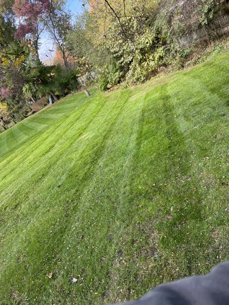 Top-rated landscape installation for beautiful yards across Ypsilanti, MI - Top Shelf