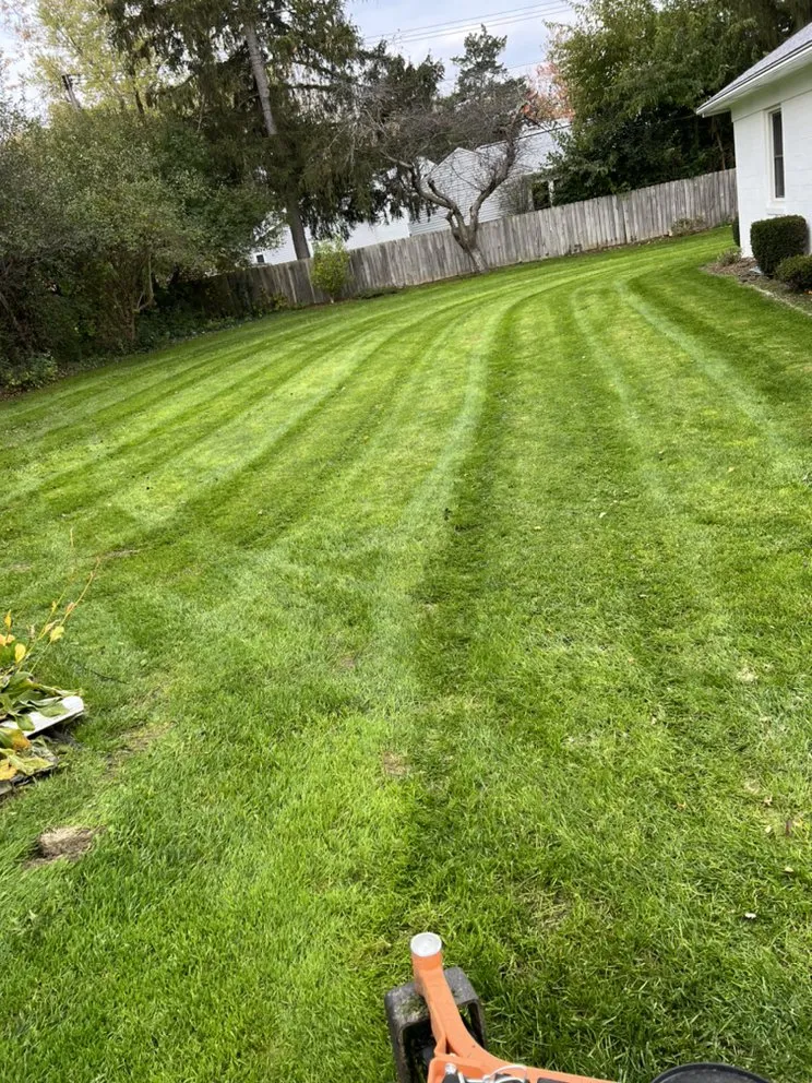 Reliable landscaping services in Ypsilanti, MI by Top Shelf