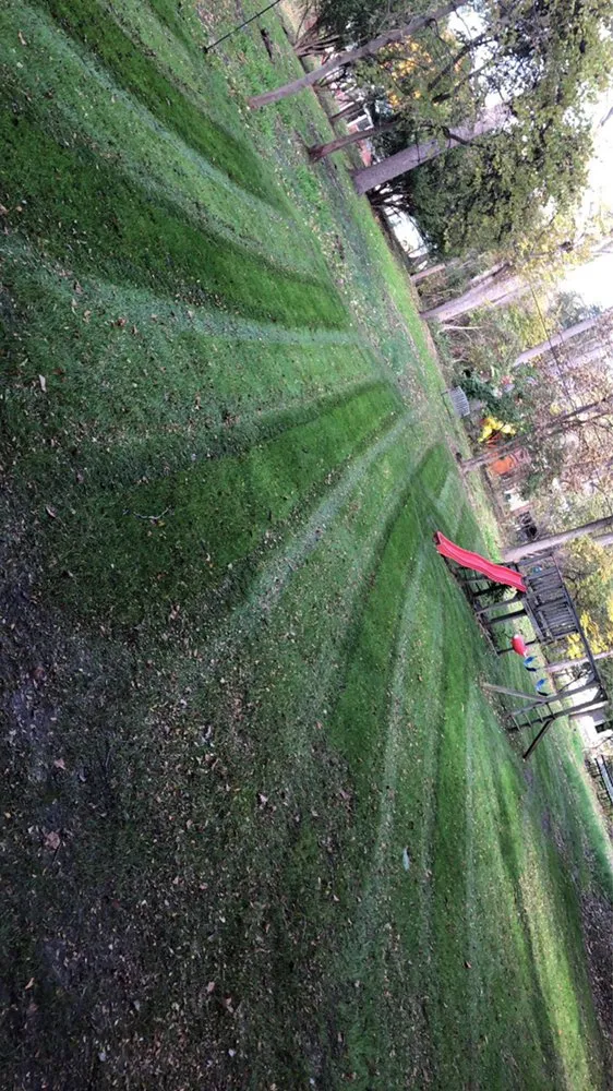 Trusted residential landscaping experts serving Ypsilanti, MI - Top Shelf