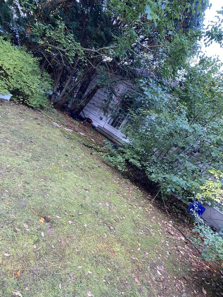 Custom lawn care service experts serving Ypsilanti, MI - Top Shelf