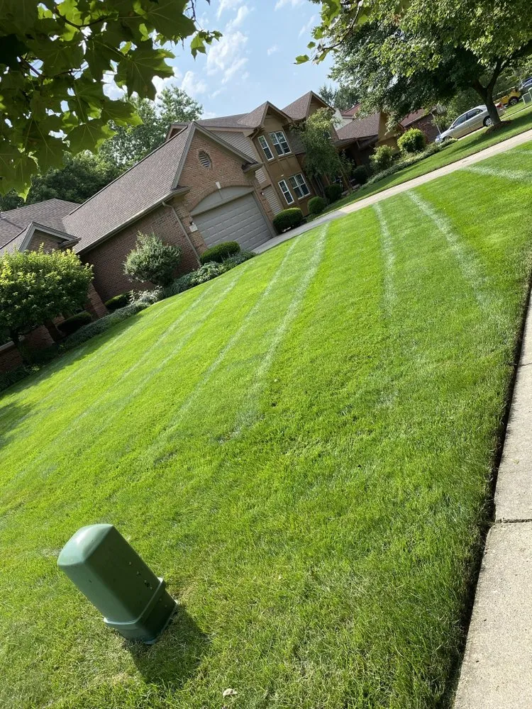 Trusted yard cleanup service in Ypsilanti, MI - Top Shelf