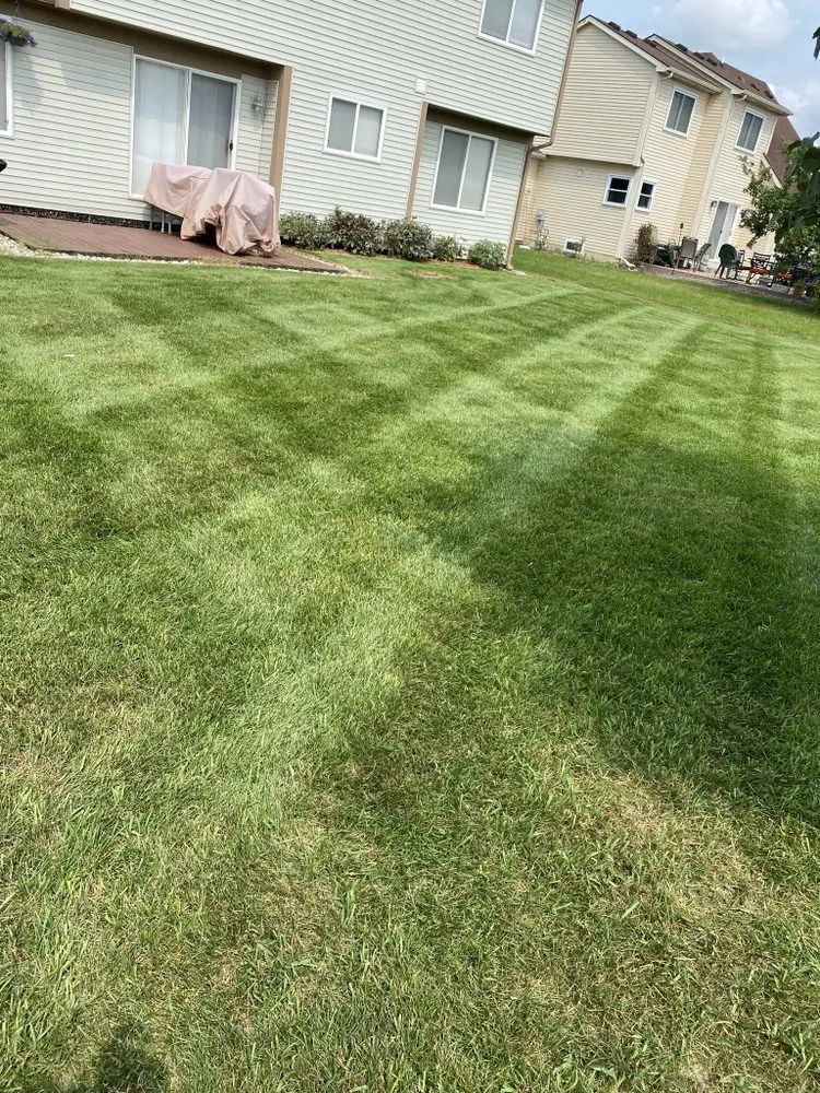 Top-rated landscape design experts serving Ypsilanti, MI - Top Shelf