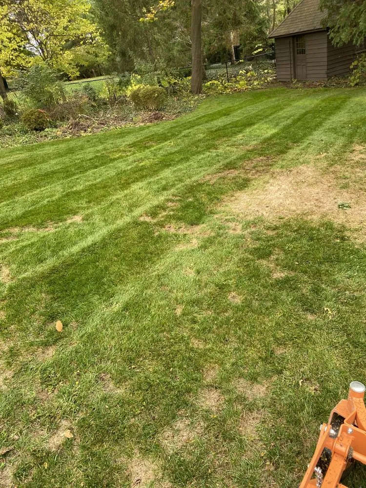 Expert yard maintenance for beautiful yards in Ypsilanti, MI by Top Shelf