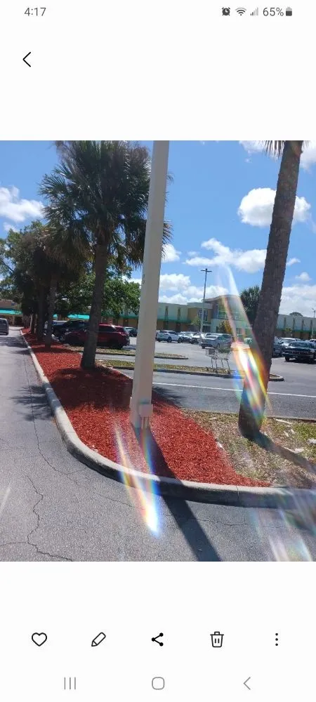 Top-rated residential landscaping in Immokalee, FL by Top Spreaders Of South Florida