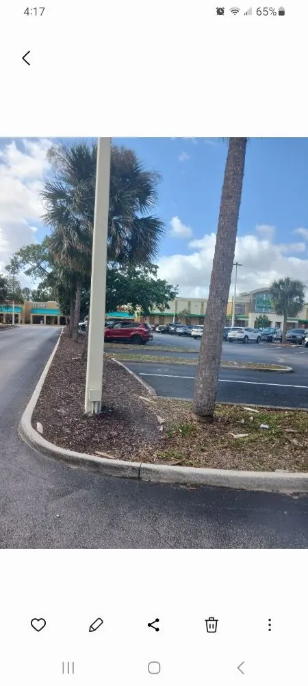 Trusted lawn mowing service in Immokalee, FL - Top Spreaders Of South Florida