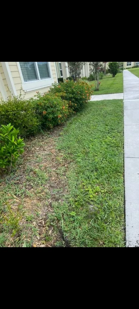 Local lawn care service experts serving Immokalee, FL - Top Spreaders Of South Florida