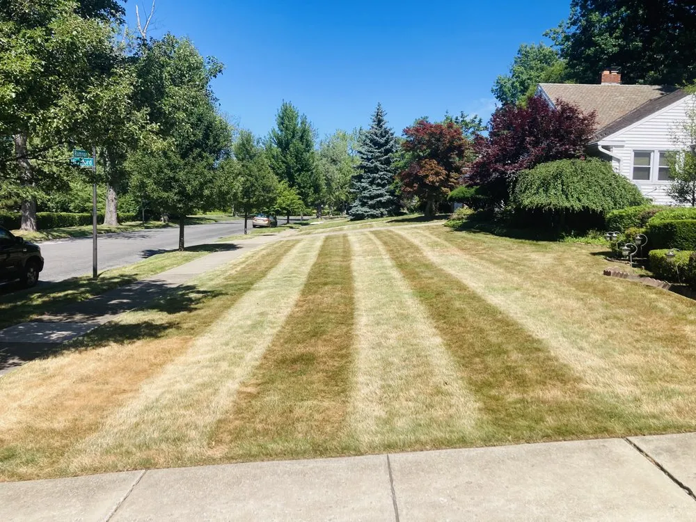 Professional yard cleanup service in cleveland heights, OH by Top Teer Landscaping