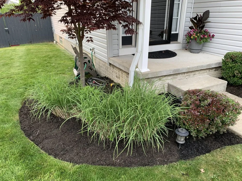 Professional yard cleanup service for residential properties in cleveland heights, OH by Top Teer Landscaping