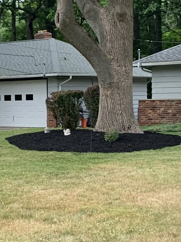 Top-rated yard cleanup service in cleveland heights, OH - Top Teer Landscaping